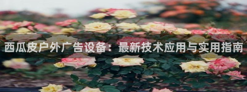 杏宇平台代理怎么赚钱快：西瓜皮户外广告设备：最新技术应用与实用指南