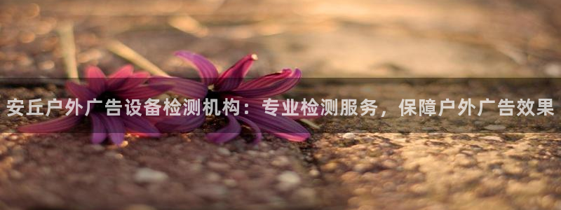 杏宇平台是什么：安丘户外广告设备检测机构：专业检测服务，保障户外广告效果
