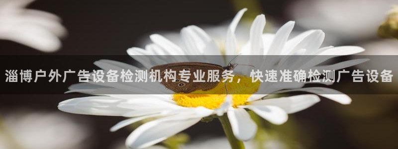 杏宇平台是什么：淄博户外广告设备检测机构专业服务，快速准确检测广告设备