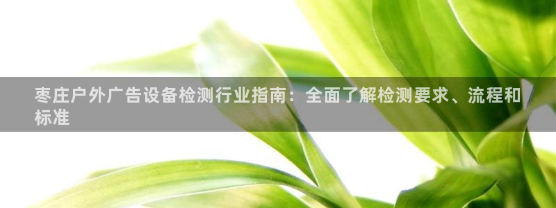 杏宇平台好吗：枣庄户外广告设备检测行业指南：全面了解检测要求、流程和
标准