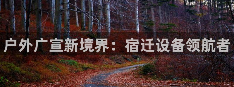 杏宇平台代理怎么样赚钱：户外广宣新境界：宿迁设备领航者
