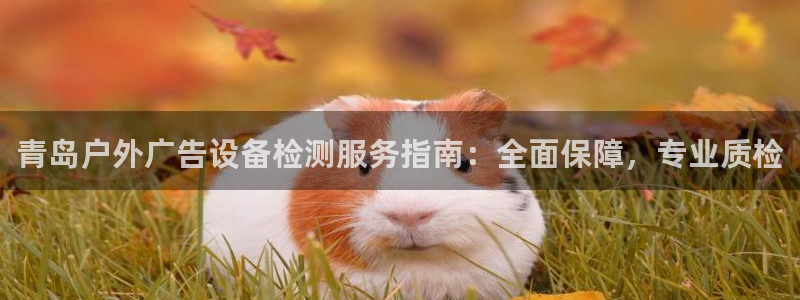 杏宇平台注册地址：青岛户外广告设备检测服务指南：全面保障，专业质检