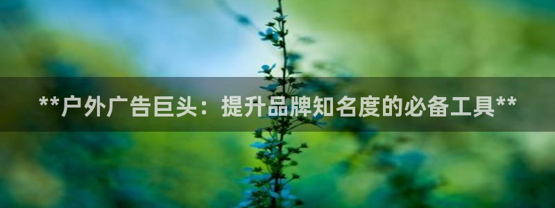 杏宇平台代理怎么样赚钱：**户外广告巨头：提升品牌知名度的必备工具**