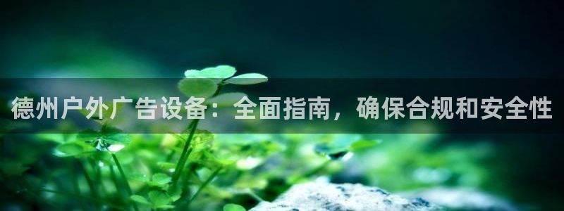 杏宇平台官网注册：德州户外广告设备：全面指南，确保合规和安全性