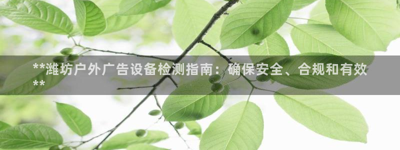 杏宇官方平台官网下载：**潍坊户外广告设备检测指南：确保安全、合规和有效
**