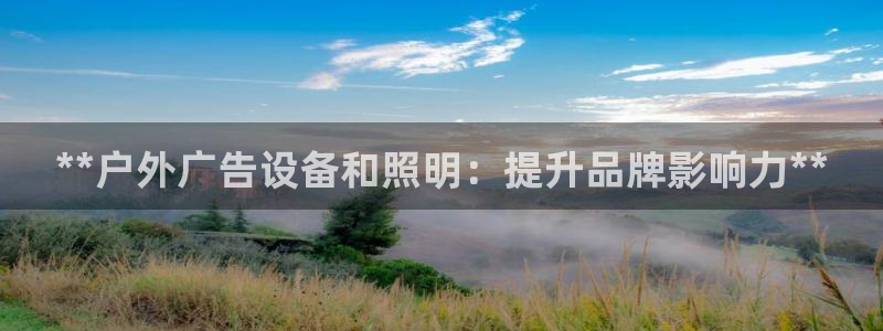 杏宇平台开户：**户外广告设备和照明：提升品牌影响力**