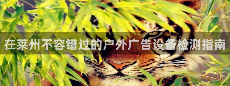 杏宇平台登陆：在莱州不容错过的户外广告设备检测指南