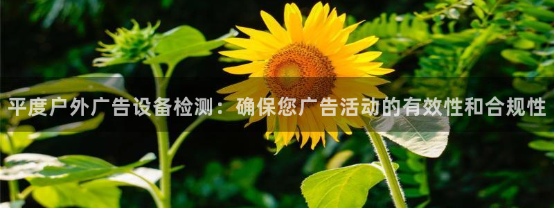杏宇平台客服：平度户外广告设备检测：确保您广告活动的有效性和合规性