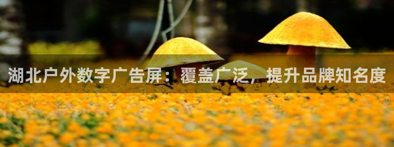 杏宇平台开户：湖北户外数字广告屏：覆盖广泛，提升品牌知名度