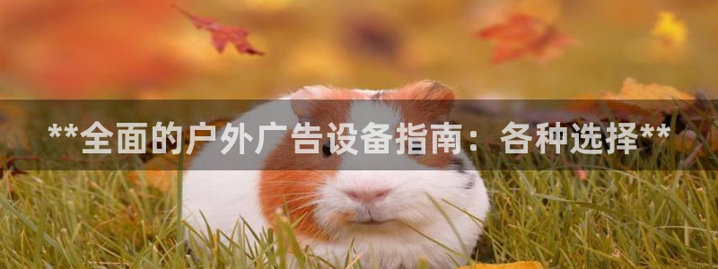 杏宇平台招商电话号码：**全面的户外广告设备指南：各种选择**