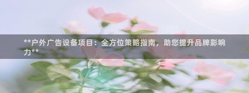 杏宇平台登录步骤：**户外广告设备项目：全方位策略指南，助您提升品牌影响
力**