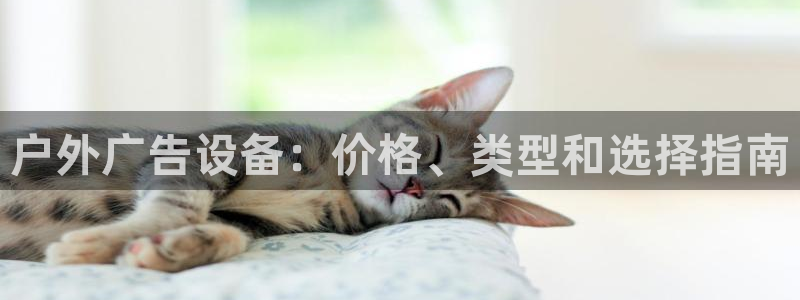 杏宇官方平台官网：户外广告设备：价格、类型和选择指南