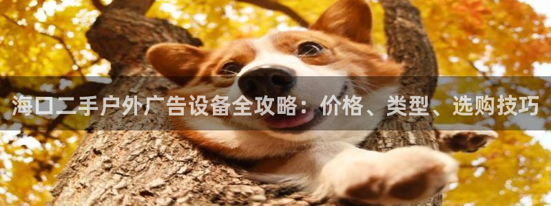 杏宇平台代理怎么赚钱的：海口二手户外广告设备全攻略：价格、类型、选购技巧