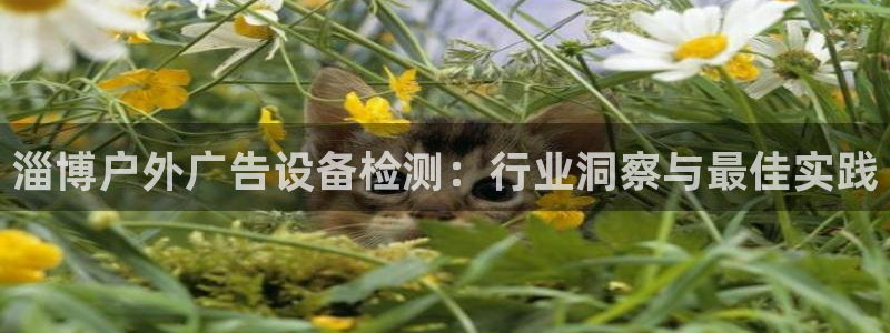 杏宇平台注册登录：淄博户外广告设备检测：行业洞察与最佳实践