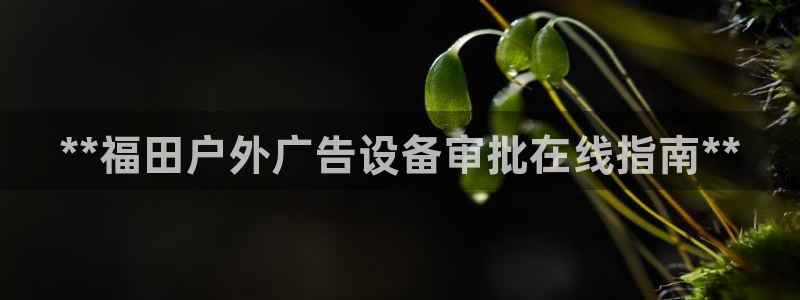 杏宇官方平台官网入口：**福田户外广告设备审批在线指南**