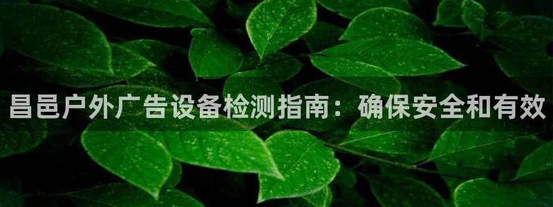 杏宇平台好吗：昌邑户外广告设备检测指南：确保安全和有效