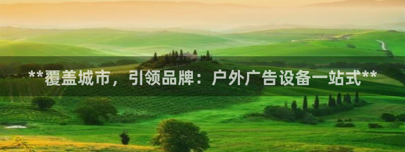 杏宇平台主管：**覆盖城市，引领品牌：户外广告设备一站式**