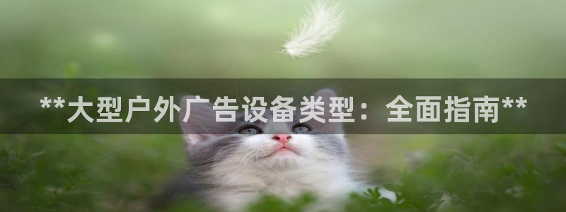 杏宇平台代理：**大型户外广告设备类型：全面指南**