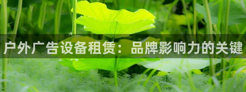 杏宇平台开户