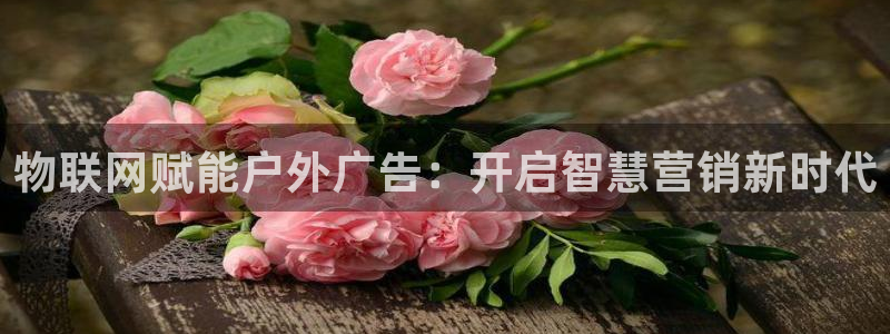 杏宇平台怎么样知乎