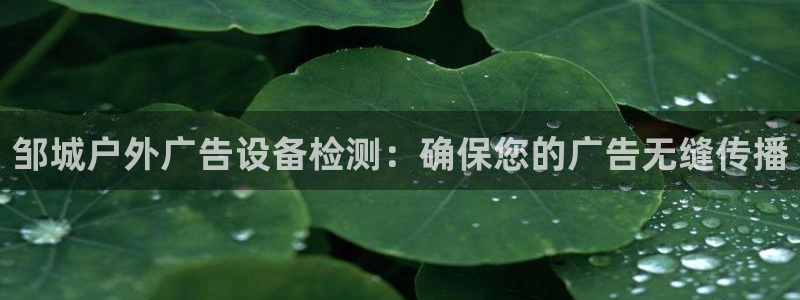 杏宇平台代理怎么样：邹城户外广告设备检测：确保您的广告无缝传播