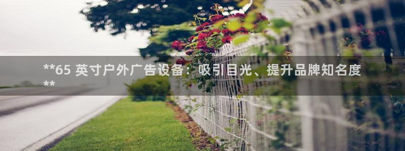 杏宇平台官网注册：**65 英寸户外广告设备：吸引目光、提升品牌知名度
**
