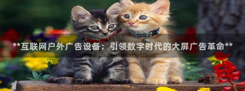 杏宇平台怎么样赚钱：**互联网户外广告设