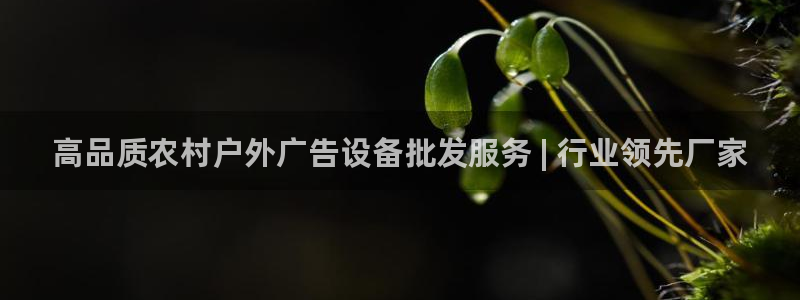 杏宇平台代理：高品质农村户外广告设备批发服务 | 行业领先厂家