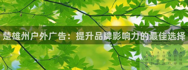 杏宇平台招商怎么样：楚雄州户外广告：提升